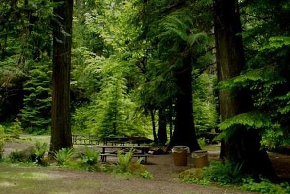 A001, Loop: AREA NORTH FORK BEAR GROUP