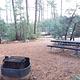 Timber Camp Rec. Area And Group CG: Campsite