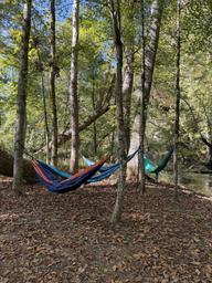 Seven Springs Cabins & RV Sites