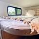"Sugar"Sweet Modern Trailer|Sleeps 6|Comfortable