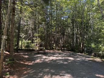 Bar Harbor Campground