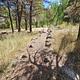 A campground footpath
