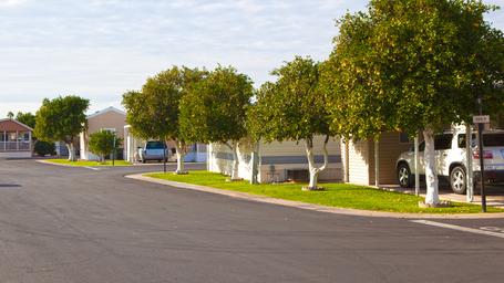 Orangewood Shadows