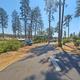 View down a paved park lane lined with tall pines and RVs — useful for showing the campsite layout, vegetation and site spacing (on the home page images).