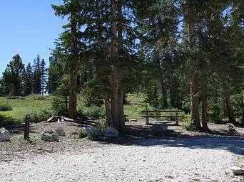 Twelve Mile Flat