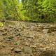 Paradise Creek campground