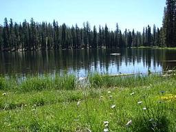 Juniper Lake Stock Corral