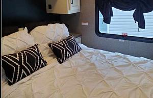 2020 Thor Motor Coach ACE 30.2
