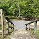 Wooden hand rail and stone steps leading to gravel tent sites surrounded by trees