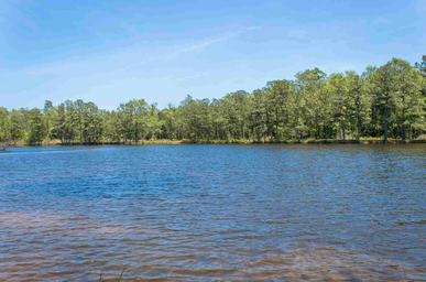 Campspot slideshow image 2