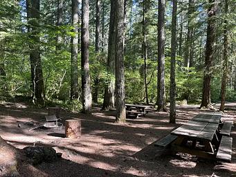 Group area with picnic tables and grill