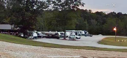 Big Fish at Wedowee RV Park