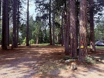 Fox Sparrow RV Resort and Campground