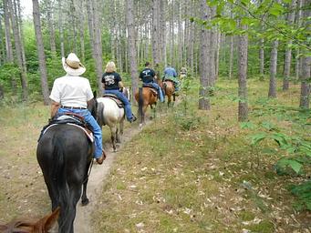 Hungerford Equestrian Trail, Manistee National Forest