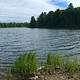 Lake off the shore of Little Beaver Campground on sunny day