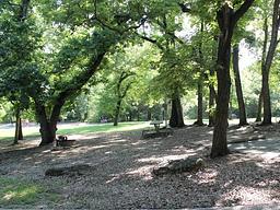 Central Group Camp (Chickasaw)