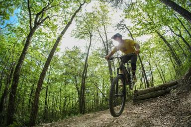 Campspot slideshow image 3