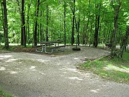 Coon Creek (IL)