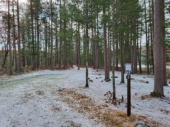 Leg Lake Campsite 2
