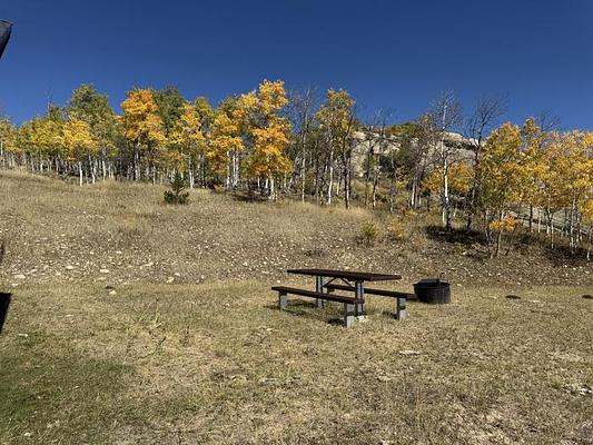 Currant Creek Guard Station, Loop: Currant Creek Guard Station