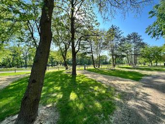 Lake Road Campground Site 19