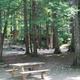 Wooded tent/campsite area with picnic table and numbered site marker visible — useful view of the campground’s shaded tent/cabin areas and site layout.