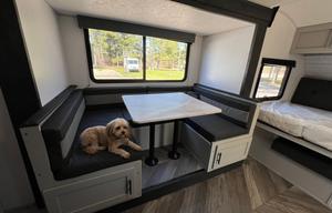 Fern the Forest River the Double Bunkhouse Camper