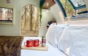 Happy the Camper