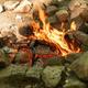 campfire