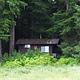 Harding River Cabin brown cabin surrounded by trees and greenery