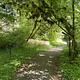 Trail from the RV park to loop A