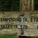 Blue Lake Creek Campground