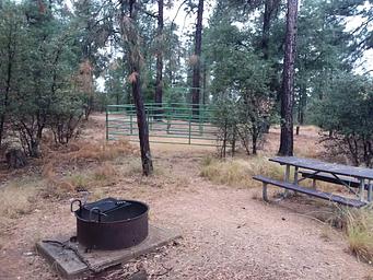 GROOM CREEK HORSE CAMP corral and camp area