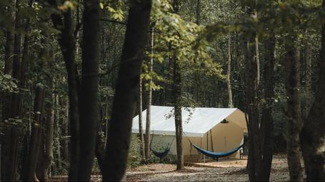 Timberline Glamping at Lula