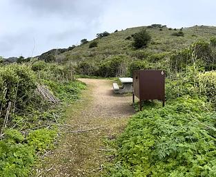 Coast campsite 6 with bear proof food locker and picnic table.