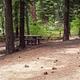 Campsite in Spring Creek Campground surrounded by Ponderosa Pine trees.