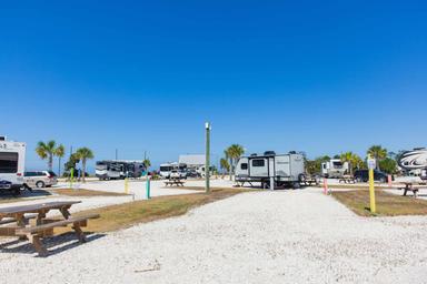 Gravel RV park with multiple campers, picnic tables, palm trees, and clear blue sky. No people visible.