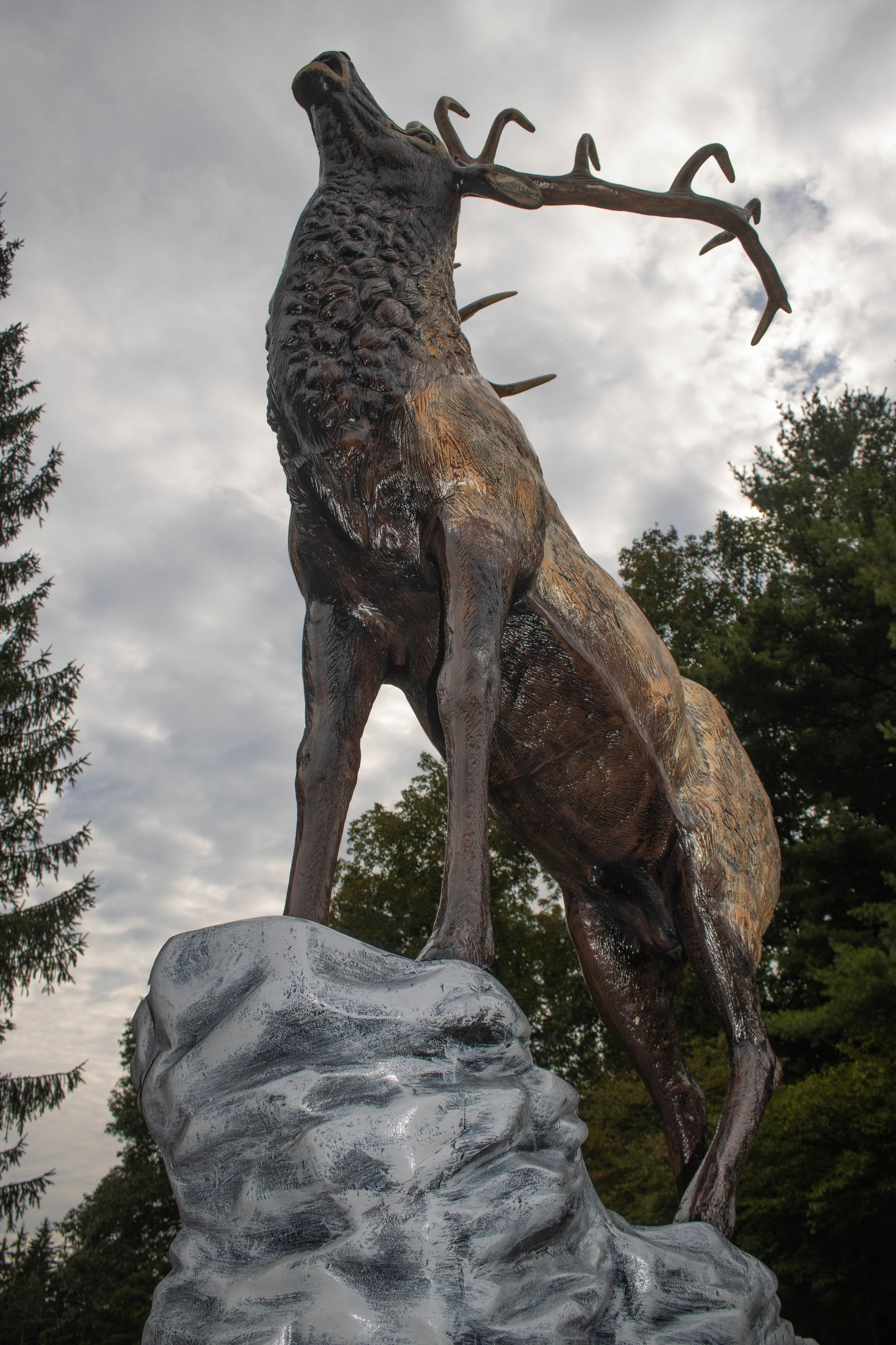 Elk Creek Escape