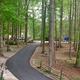 Exterior view of paved campground road through wooded RV/campsite area with visible site furniture and utility pedestal — clear on-site campsite overview from the resort's property page.