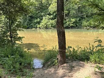 A group campsite next to the river with trees and shade