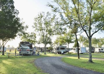 Campground with RVs and trailers parked among trees on a sunny day