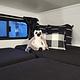 Cute Cozy Camper!
