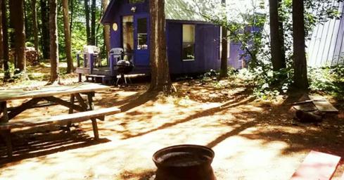 On‑site rental cabin among trees with picnic table and firepit — supports cabin rental listing (page: https://www.pineridgeparkcampsite.com/cabin-rentals). Useful for accommodations gallery.