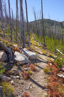 01, Loop: AREA MEDICINE POINT LOOKOUT