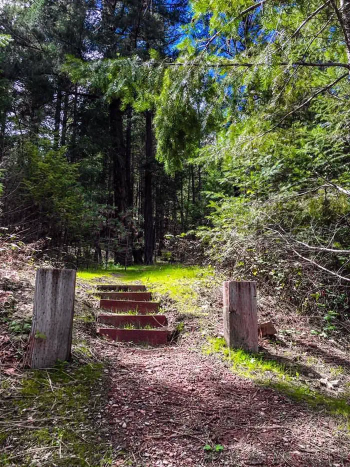 Mary Smith Campground