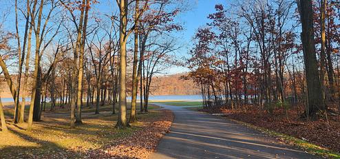 Curwensville Lake