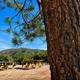 View from main area of the campground