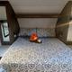 "The Toasty Mallow" 2022 Forest River RV Wildwood