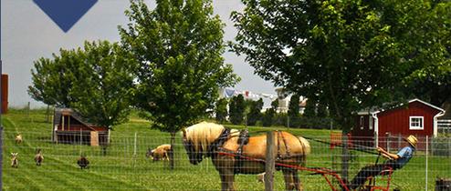 Florys Camping - Amish Farm