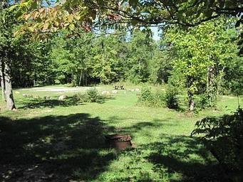Chilhowee Group Camp, Loop: CHILHOWEE GROUP CAMP